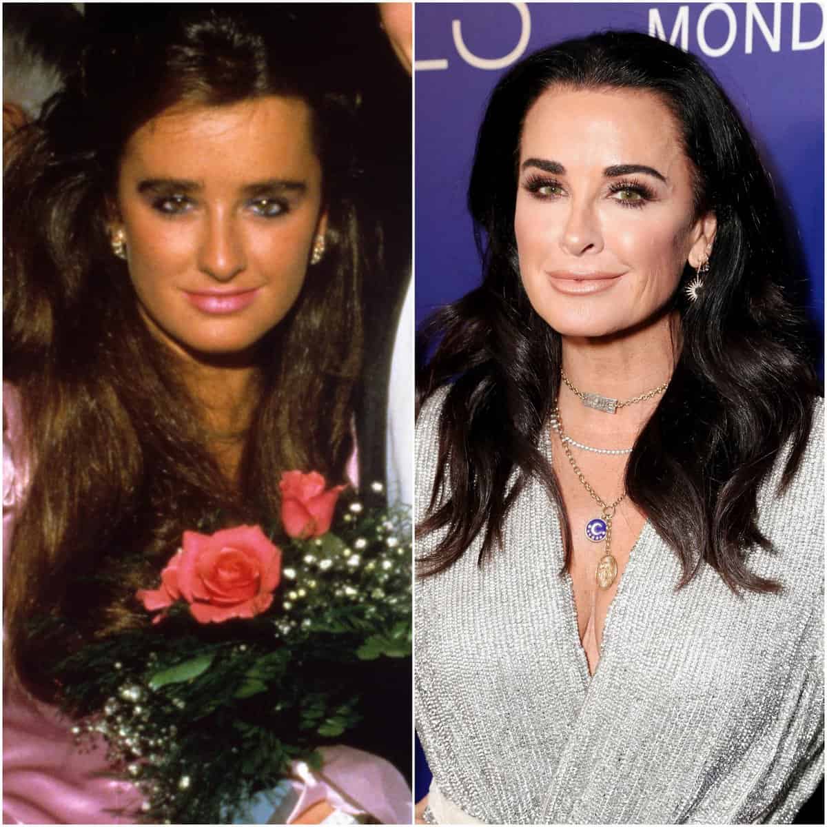 22 Facts About Kyle Richards Life, Family, Career [2024]