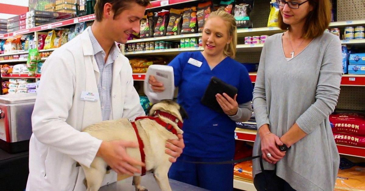 Tractor Supply Pet Clinic An Informative Guide [2023]