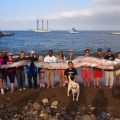 All You Need To Know About Oarfish