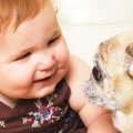 Dealing with Dog Aggression Toward Children