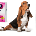 The Best Allergy Medications for Pet Allergies