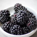 The Health Benefits of Blackberries for Guinea Pigs