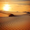 14 Characteristics And Facts About The Desert