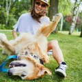 Why Do Dogs Like Belly Rubs?