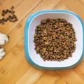 Does Dog Food Expire? The Risks of Feeding Expired Food to Your Pet