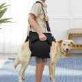 How To Carry A Dog Up And Down the Stairs