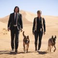John Wick and His Furry Friends: A Look at the Dogs of the Franchise