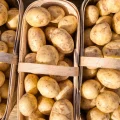 Can Eating Raw Potatoes Be Deadly for Dogs?