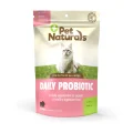 Probiotics for Cats With IBD: A Powerful Tool for Relief