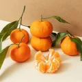 Is Tangerine Safe for Dogs?