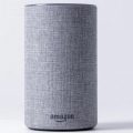 Does Apple Music Work With Alexa?